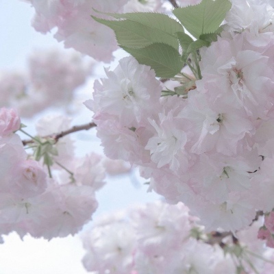 兽设拟人化设计实用技巧福瑞群